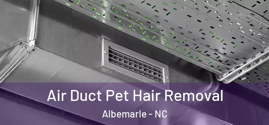  Air Duct Pet Hair Removal Albemarle - NC