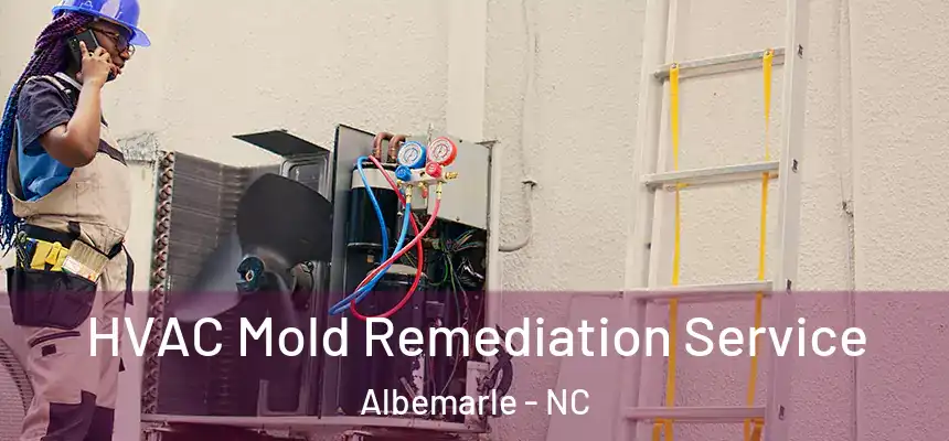  HVAC Mold Remediation Service Albemarle - NC
