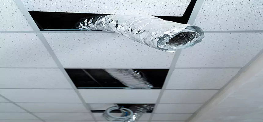 Affordable HVAC Sanitizing After Pest Removal in Albemarle