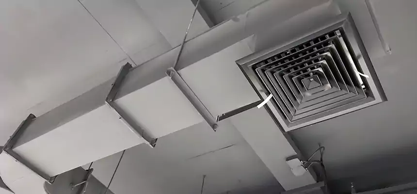 Restorative Allergy Relief Vent Cleaning – Coil, Blower & Housing Detail in Albemarle