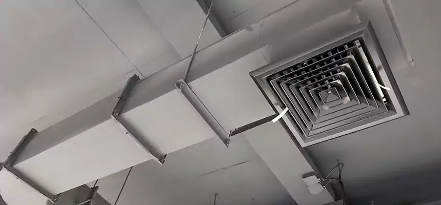 Our Pest Removal From Ducts Services in Albemarle, NC