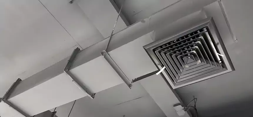 Our Rodent Droppings In Vents Services in Albemarle, NC