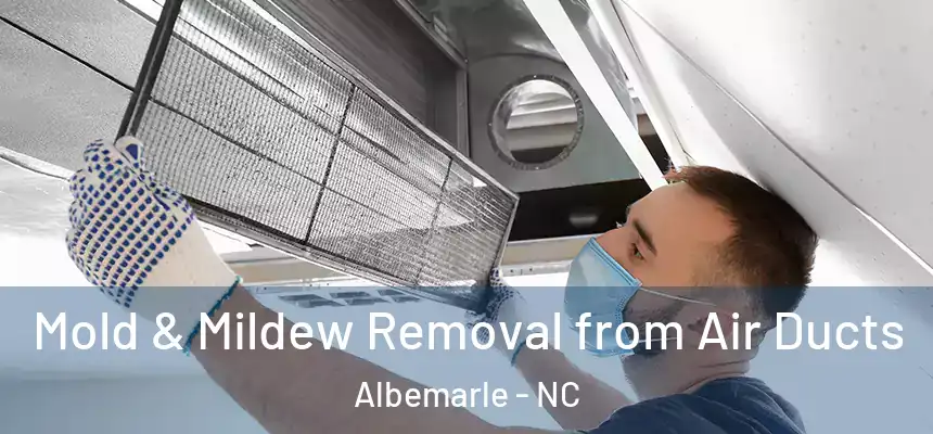  Mold & Mildew Removal from Air Ducts Albemarle - NC