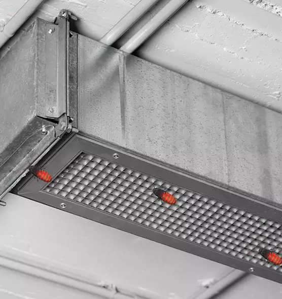 About Air Duct Cockroach Removal in Albemarle, NC
