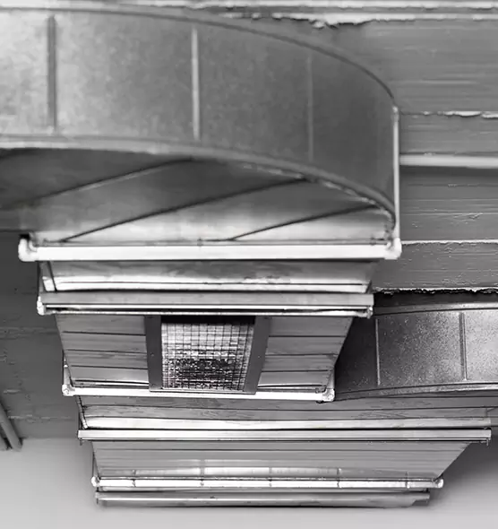 Professional Air Duct Pest Removal in Albemarle, NC