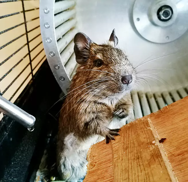 Why Homeowners & Businesses Trust Us Albemarle, NC