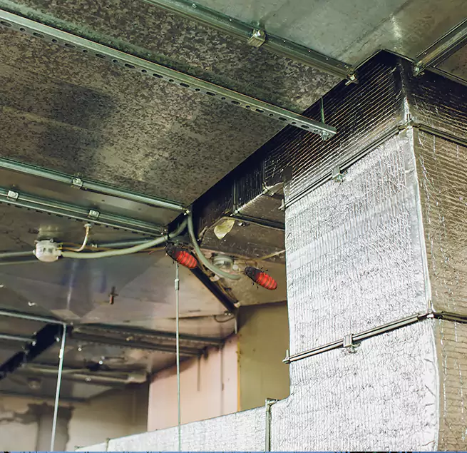 Why Homeowners & Businesses Trust Us Albemarle, NC?